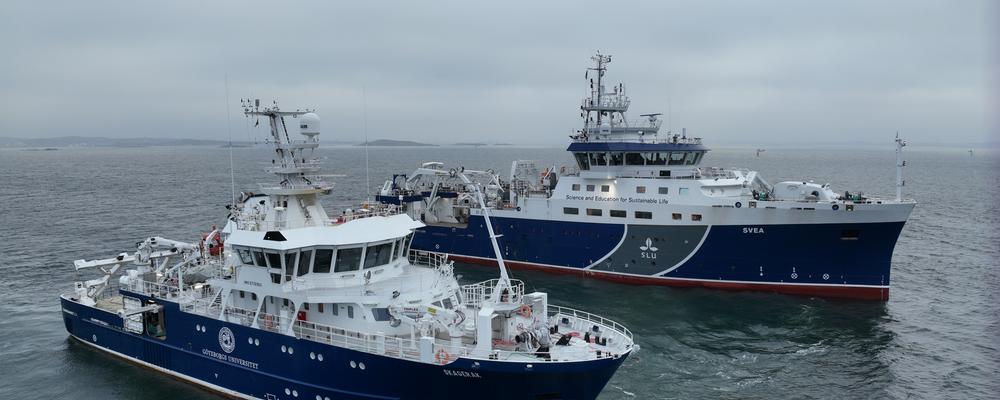 Forskningsfartyget Svea och Skagerak bredvid varandra.