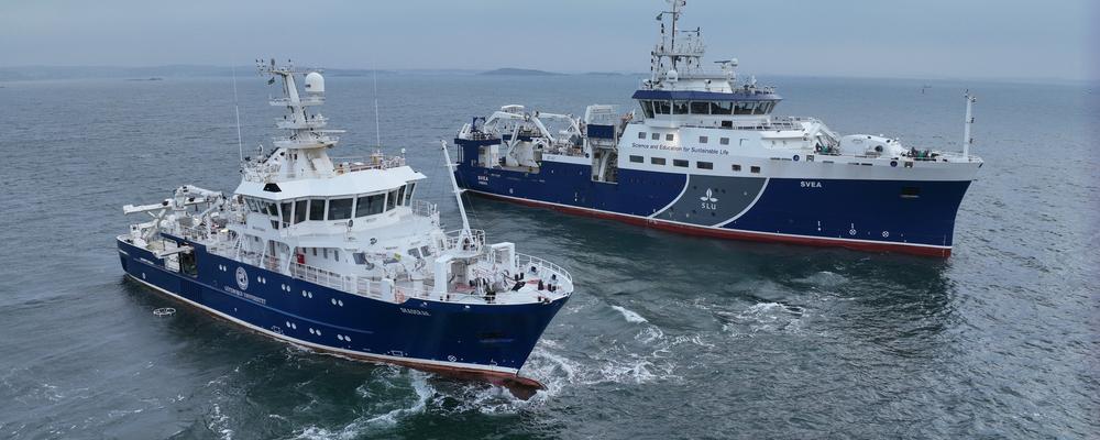 Forskningsfartyget Svea och Skagerak bredvid varandra.