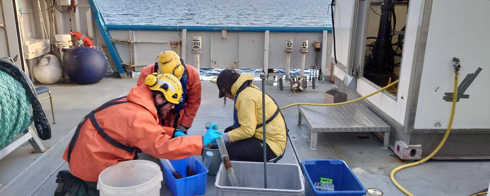 Picture of the work with sediment samples onboard the voyage.