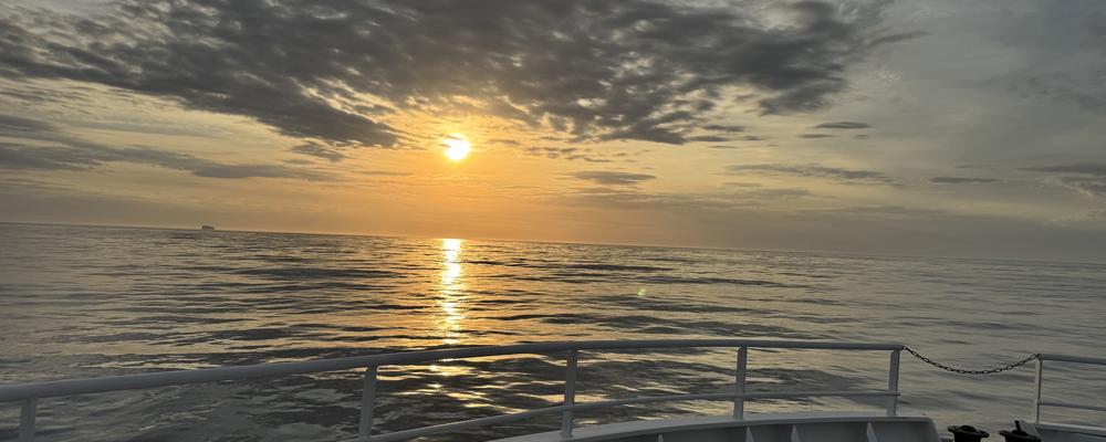 Bild tagen från Skagerak